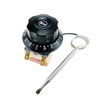 Delixi water boiler temperature control switch 220v