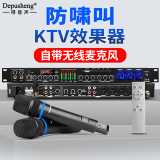 Depusheng rev3900 ktv pre-amp effector with rechargeable wireless microphone for home karaoke singing tv reverberator box commercial anti-howling audio processing usb fiber optic bluetooth fx8 dual handheld rechargeable microphone