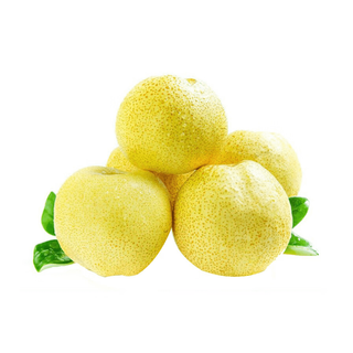 Shanxi rock sugar pear 5-6 pieces 1.4kg