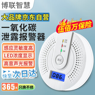Bolian wisdom prevents fire poisoning household carbon monoxide alarm co induction coal stove burning charcoal honeycomb coal flue gas smoke detection instrument artificial soot gas detector