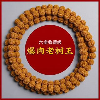 Free talk small rudraksha bracelet explosive double snake pattern five-six petals buddhist beads bracelet for men and women 108 pieces plate playing handle 108 pieces