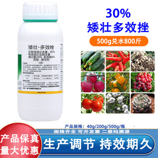 Shorty and multi-effect plant chlormequat shorty and strong agent universal control of flowers and trees, strawberry and wheat growth regulator 200g