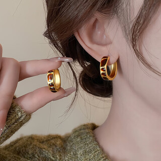 Lansill maillard leopard print hoop earrings for women 2025 new high-end light luxury earrings niche earrings autumn and winter earrings e4118 maillard leopard print earrings