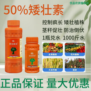 Guoguang chlormequat control agent plant growth regulator vegetable and fruit tree shoot control agent pesticide anti-longing agent 500g 1 bottle guoguang 50% chlormequat