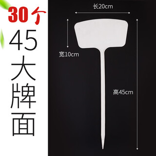 Benxinnong large-faced gardening ground-inserting cards can be written on plant labels, ground-inserting cards, succulent labels, identification cards, plastic inserting cards, 30 pieces (large-faced), large size 45cm, white
