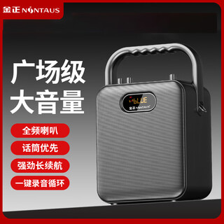 金正S18户外音响蓝牙音箱便携式大音量广场舞音响功放一体机家用ktv唱歌小型k歌麦克风手提摆摊低音炮 S18旗舰版【送背带遥控器】