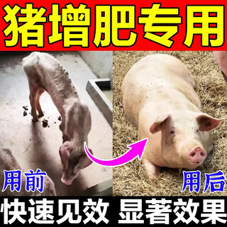 Veterinary fattening additives to promote fattening and weight gain, growth-promoting pig fattening additives premix, veterinary fattening feed 10 packs, buy 6 get 4 free, breeding recommended for early slaughter