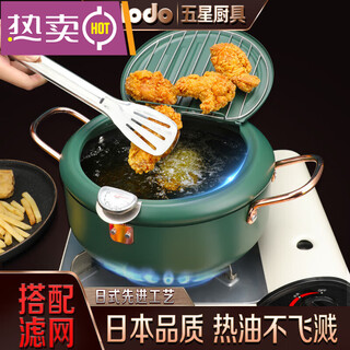 Japanese tempura fryer household small fryer with lid deep fried chicken potato provincial frying oven gas gas 1cm 20cm 2 points 2l natural silver trumpet + 04 filter oil