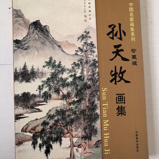 【绝版旧书】中国名家画集系列 孙天牧画集 珍藏版 中国美术出版社