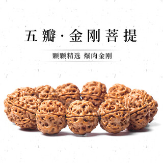 山中玉金刚菩提子手串男真品佛珠尼泊尔5瓣大原籽盘文玩手链礼物19-20mm