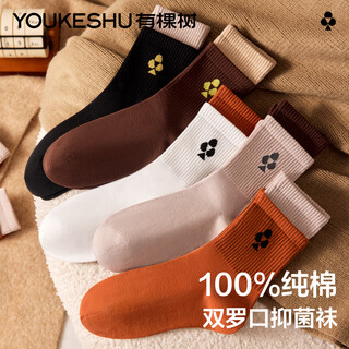 There is a tree 5 pairs of 100% cotton socks women's mid-calf autumn and winter warm stockings thick pile socks antibacterial boneless women's socks