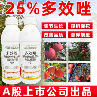 25% paclobutrazol plant growth regulator, growth-controlling drug, shoot-promoting flower dwarfing agent, dwarfing agent 1000 grams of paclobutrazol (upgraded version)