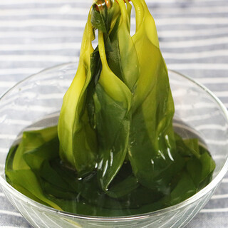 Shilihan xiapu kelp seedlings non-special grade 5 jin jin equals 0.5 kg small kelp sprouts freshly salted non-dry hot pot malatang 5 jin jin equals 0.5 kg kelp seedlings 500g*5 packs the young kelp sprouts are even in size 2500g