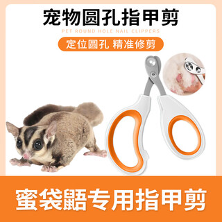 Wowmi sugar glider special nail scissors set, nail scissors, nail clippers, nail clippers, nail grinder, flying squirrel pet supplies, pet round hole nail scissors with file