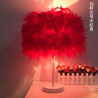 曜添创意简约欧式羽毛台灯卧室床头公主婚房温馨LED生日礼物玫瑰台灯 大号白杆大红色羽毛 调光开关