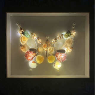 Kanglang shell night light conch starry sky light painting photo frame diy production material package handmade birthday gift for lover butterfly ordinary material package