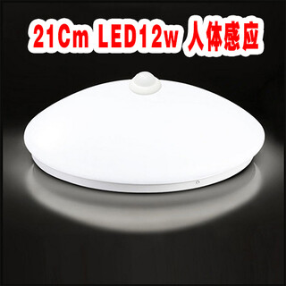 雷雷智光 LED雷达自动感应声光控吸顶灯家用过道楼道玄关车库用 人体感应灯 白色 21CM12w人体感应