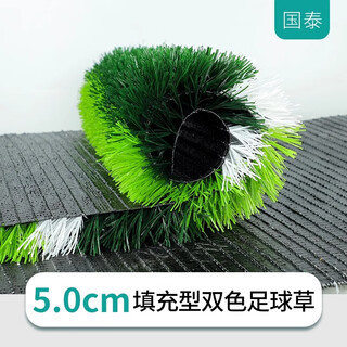 Qingya artificial artificial fake turf carpet fence mat plastic fake grass gym football field kindergarten lawn mat 5cm professional football grass