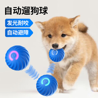 Huanpet.com pet dog toy dog amusing artifact automatic dodge ball electric dog walking ball for puppies to play by themselves to relieve boredom and resist bites