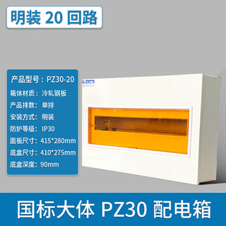 创友PZ30回路配电箱工程用明装家用空气开关箱暗装强电箱国标电箱总控 国标20回路明装