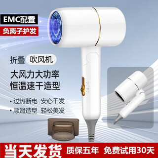 Shunrui german original quality xiao yang recommends 500w hair salon special negative ion hair dryer student dormitory home folding portable blu-ray folding white 600w + air outlet + dormitory power limit special