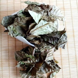 Beijing tongrentang selected green willow tea authentic zhangjiajie wild willow tea original leaves ancient tree green willow original leaves (selected original leaves) 250g