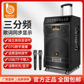 Bok high-end outdoor internet celebrity k song square dance speaker with lyrics display heavy bass wireless bluetooth high-power guitar playing instrument singing mobile trolley speaker bk-3910 bk-3912 (12 inches)