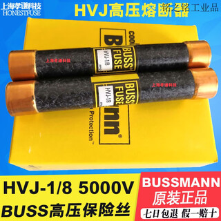 Customized eaton bussmann high voltage fuse hvl hvj-1/8 5000v buss fuse insurance base