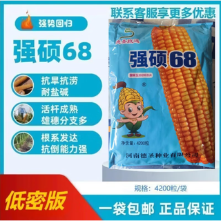 New species in stock, nationally approved original qiangshuo 68 corn seeds, high-yield corn seeds, drought-resistant pioneer, high-yielding, drought-resistant, not bald. new species in stock, original nationally approved qiangshuo 68 4200 grains 1 bag