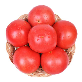 Provence tomato pulp about 500g