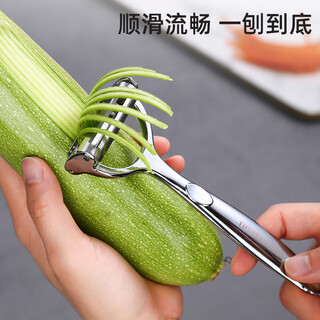 维艾（Newair）不锈钢刨丝器削皮刀多功能家用土豆萝卜剥丝刮丝厨房切菜神器黄瓜 刨丝/削皮二合一