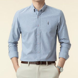 LVKE纯棉衬衫男长袖春秋冬季新款刺绣高级感轻奢潮流商务休闲衬衣男士 灰色【热卖】 XL