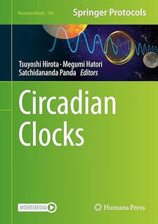3-6 weeks delivery circadian clocks