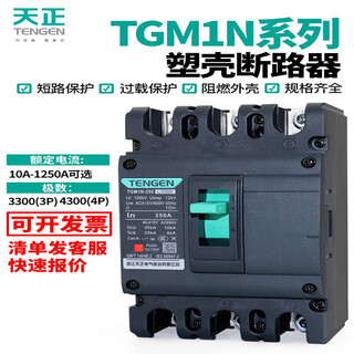 天正电气（TENGEN）天正TGM1N塑壳断路器 4P空气开关63A100A160A2 10A 3P 20A 4p