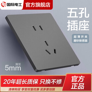 TEP国际电工86型灰色超薄哑光开关插座面板家用16A暗装一开五孔大板磨砂空调 五孔插座(10A)(看样价限一件)