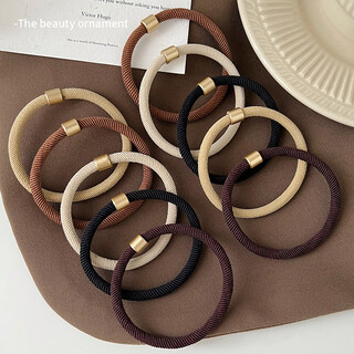 Danqin high ponytail hair rope for girls 2025 new style rubber band to tie hair, high elasticity and durable hair ring, adult hair rope leather case, old money style hair rope (10 mixed colors)