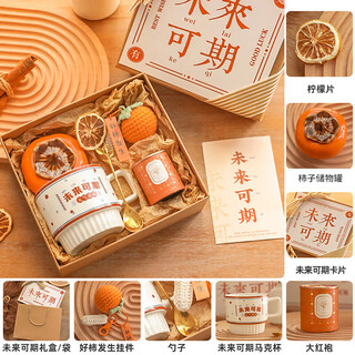 唐贝圣诞节跨年生日礼物女男生伴手礼商务公司年会入离职礼品定制实用 未来可期套装3(京)