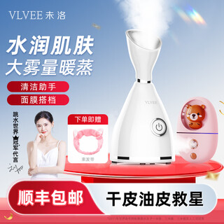 Горячий спрей vlvee, отпариватель для лица, увлажняющий спрей, салон красоты, отпариватель для лица, домашний портативный холодный спрей, портативное устройство для увлажнения нано-спрей, подарок на день рождения для девочек, флагманский горячий спрей + медвежий порошок, холодный спрей - ионный туман + нано-пар