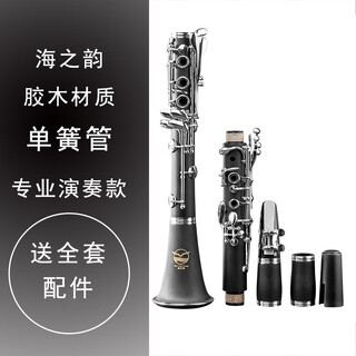 Jungle tribe ebony clarinet instrument b flat clarinet instrument western orchestral instrument beginner grade examination 17 keys clarinet