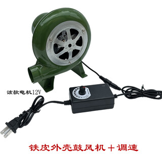 220v blower small household high-power powerful barbecue combustion-supporting blowing carbon wood stove special hair dryer mini iron shell 60 watts + speed switch