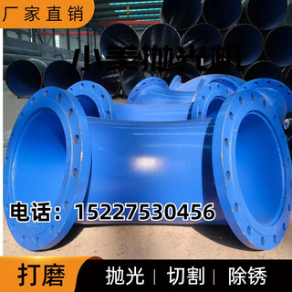 Carbon steel plastic coated double disc flange welding hot and cold galvanized 90 degree seamless elbow sandblasted tee fitting customization dn100 complete carbon steel