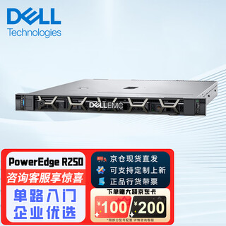 Dell (dell) r250 server rack-mounted financial office erp printing network storage computer pentium g6405t dual-core 16g丨1t hard drive