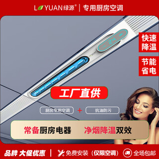 Luyuan (lvyuan) kitchen air conditioner special refrigeration, dehumidification, anti-oil fume, embedded in the ceiling without external unit, hidden installation all-in-one machine t9/100*600 kitchen air conditioner large 1 hp set self-cleaning series - cooling capacity 2500w-2 holes t9 series