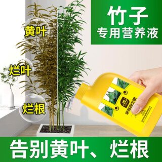 Stanley bamboo special nutrient solution first aid yellowing leaves dry tips dry leaves rotten roots promote growth green plants household compound fertilizer bamboo nutrient solution 500ml