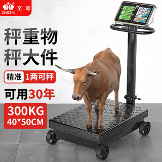 Zhizun weighing electronic scale 300-500 kg platform scale commercial scale for business use large wheel scale hand push roller electronic scale foldable pig scale industrial logistics floor scale 300 kg, large table 40*50, foldable, portable