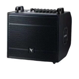 Weisen hummingbird musical instruments playing and singing outdoor audio mobile ktv convenient square dance home live broadcast guitar bluetooth speaker v9 black