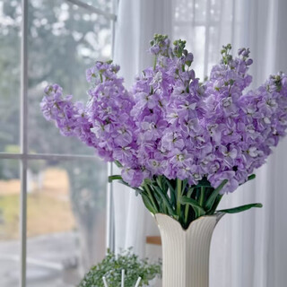 Sf express exquisitas flores violetas yunnan kunming base pelo liso inserto de botella de agua como regalo para tu novia 10 violetas de color violeta claro