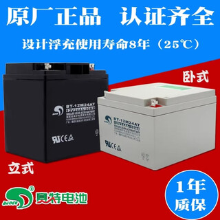 赛特BT-12M24AT蓄电池12V24Ah/20hr海湾消防主机UPS备用电池EPS直流屏 立式12v24ah