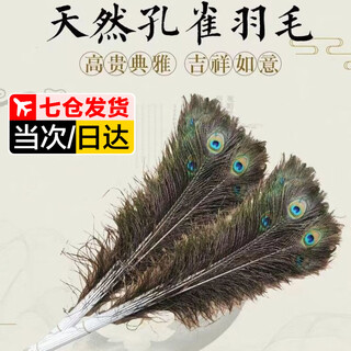 Sanazhixun peacock feather ornaments vase feathers natural peacock tail feathers diy decorations living room vase ornaments peacock feathers (90-100cm 6 pieces)