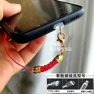 Mobile phone charging port dust-proof plug simple color lanyard hole jewelry pendant rope chain couple male and female student gift golden big red rope apple 15 interface oval plug single plug